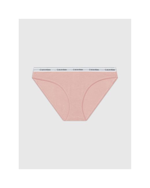 Calvin Klein Multicolor Logo Brief