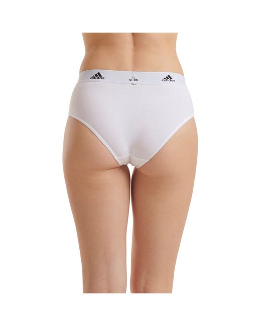 Adidas Purple Tai Full Brief Underwear
