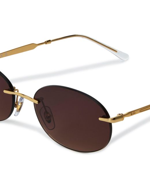 Ray-Ban Brown Round Sunglasses