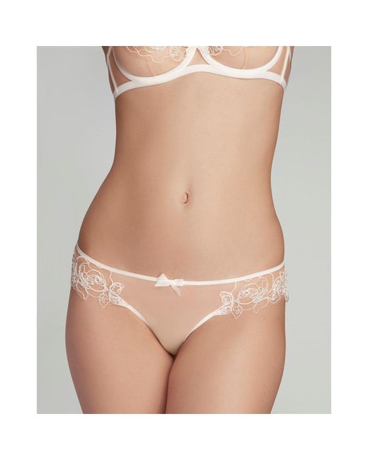 Agent Provocateur Brown Lindie Full Brief