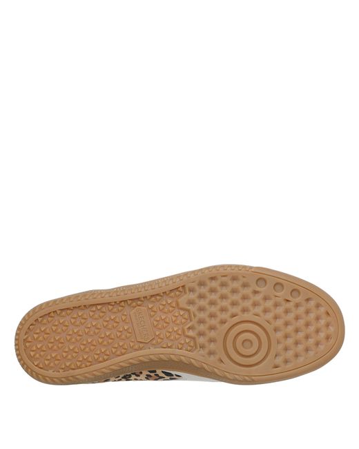 Skechers Brown Hotshot