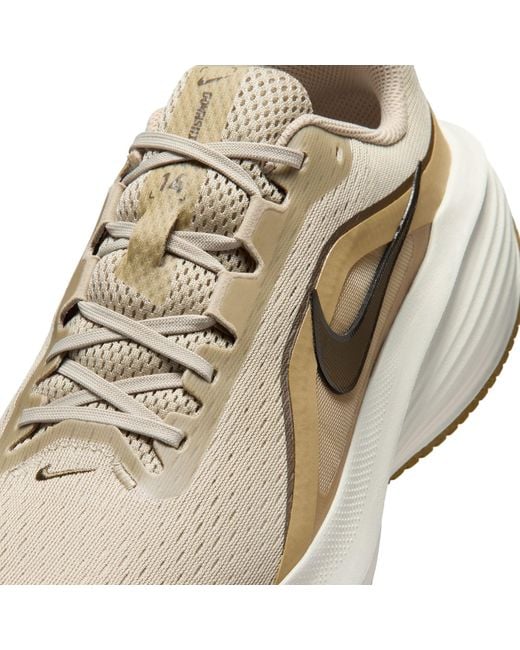 Nike Brown Downshifter 14 Trainers for men