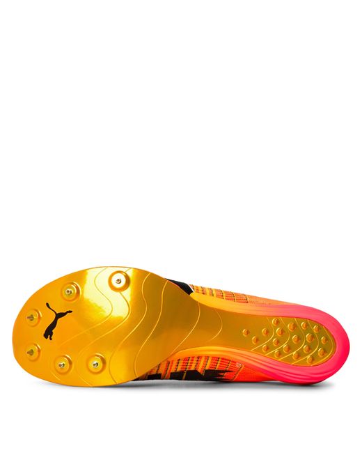 PUMA Orange Evospeed Forte Nitro Elit Track Running Spikes for men