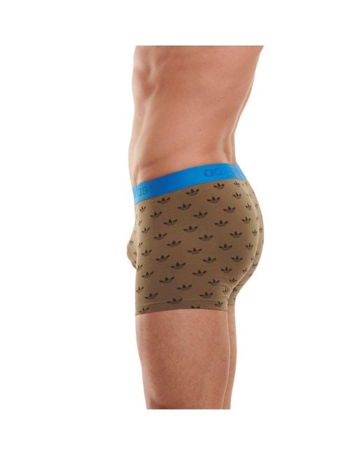 Adidas Originals Blue Originals Comfort Flex Cotton 2-Pack Boxer for men