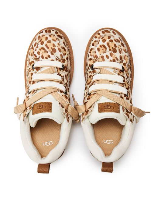 Ugg Brown Lowmel Lowmel Low-Top Trainers