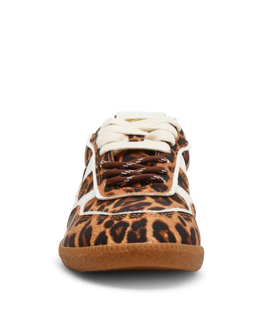 Steve Madden Brown August 2 969 Sneakers