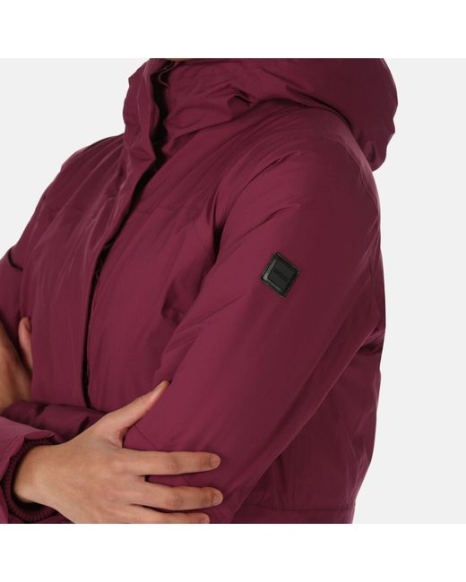 Regatta Purple Yewbank Ii Waterproof Jacket