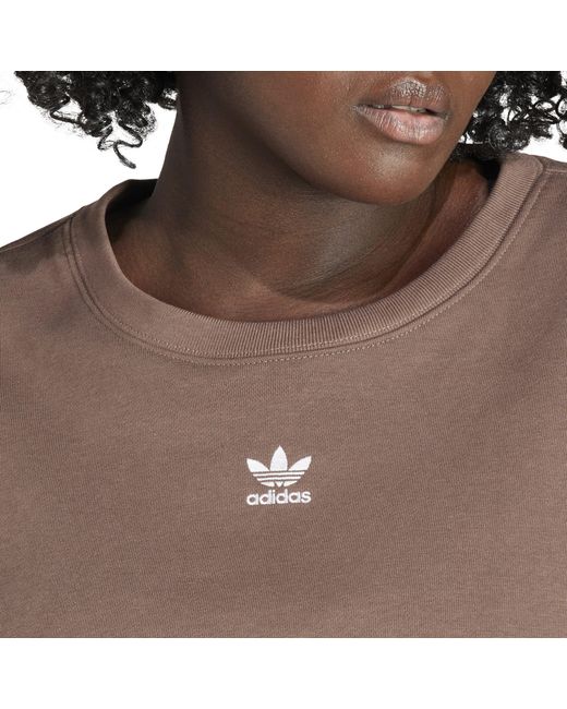Adidas Originals Brown Adicolor Essentials Crew Sweatshirt (Plus Size)