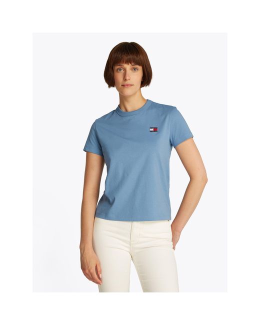 Tommy Hilfiger Blue Regular Fit Badge T-Shirt