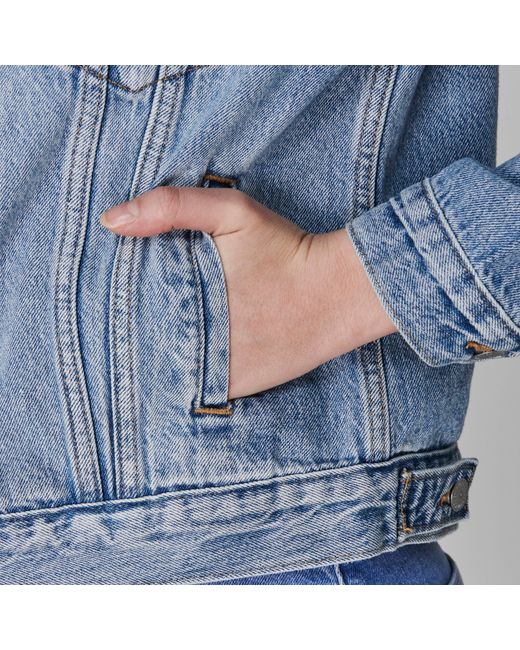 Levi's Blue Ex-Boyfriend Trucker Cotton Long Sleeve Point Collar Denim Jacket