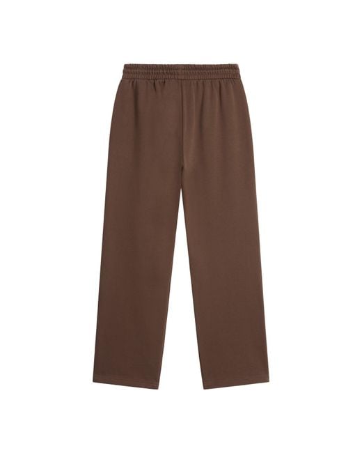 The North Face Brown Tnf Essential Simple Dome Relaxed Straight Joggers