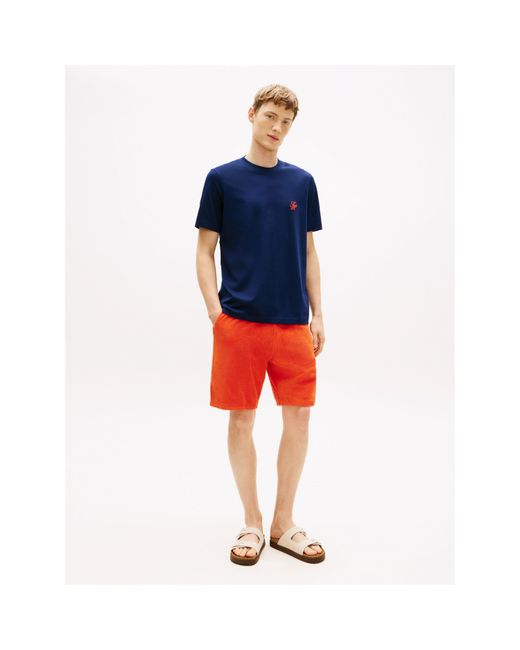 Tommy Hilfiger Blue T-Shirt for men