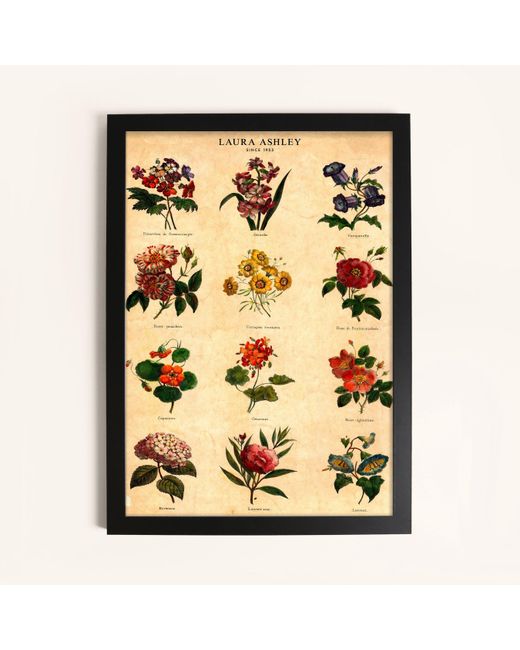 Laura Ashley Metallic Botanical Flowers Print