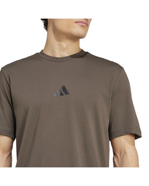 Adidas Gray Strength Graphic T-Shirt for men
