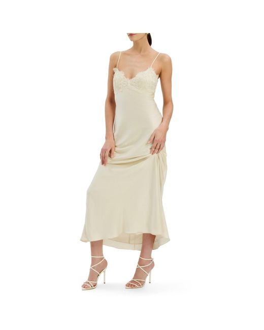 Bardot White Elisian Lace Satin Bias Cut Maxi Dress