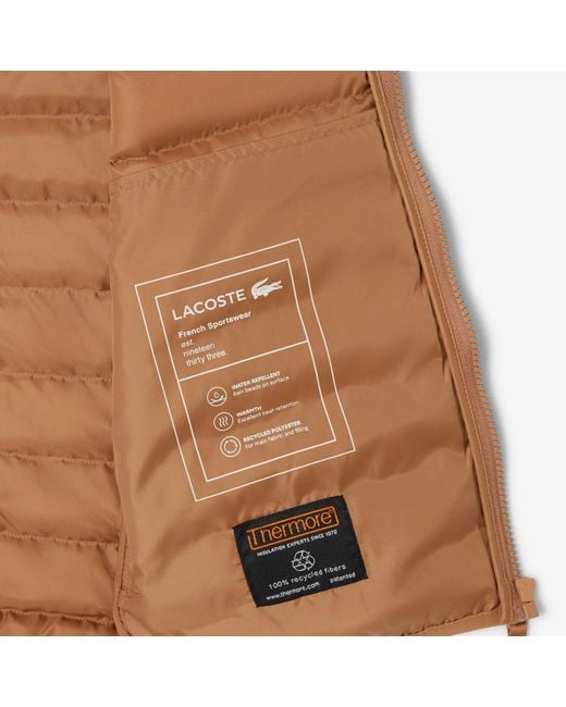 Lacoste Brown Gilets for men