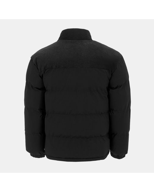 Firetrap Black Full Zip Funnel Neck Long Sleeve Puffer Jacket for men