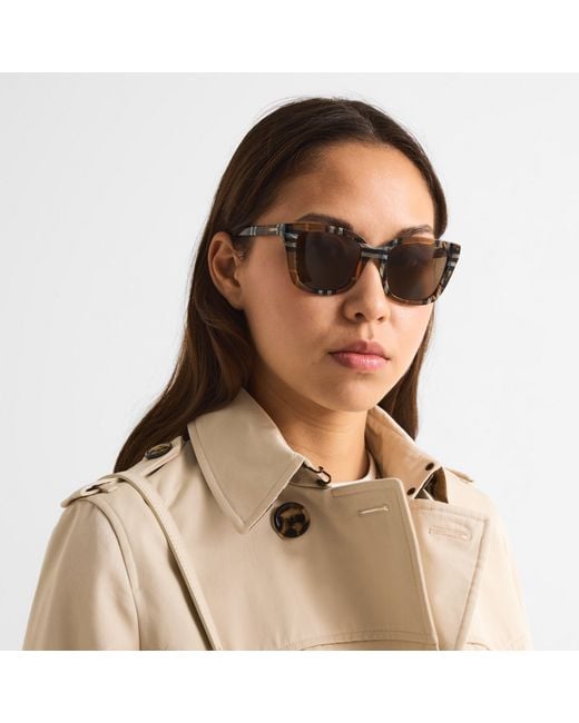 Burberry Brown Cat Eye Sunglasses