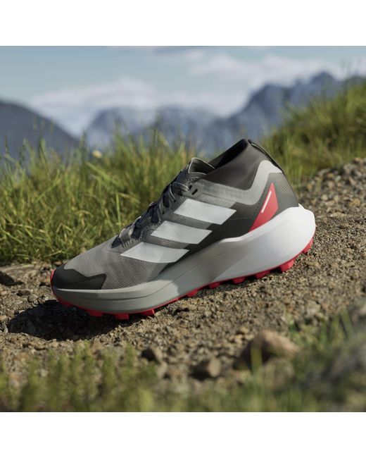 Adidas Blue Terrex Agravic Gtx Trail Running Shoes