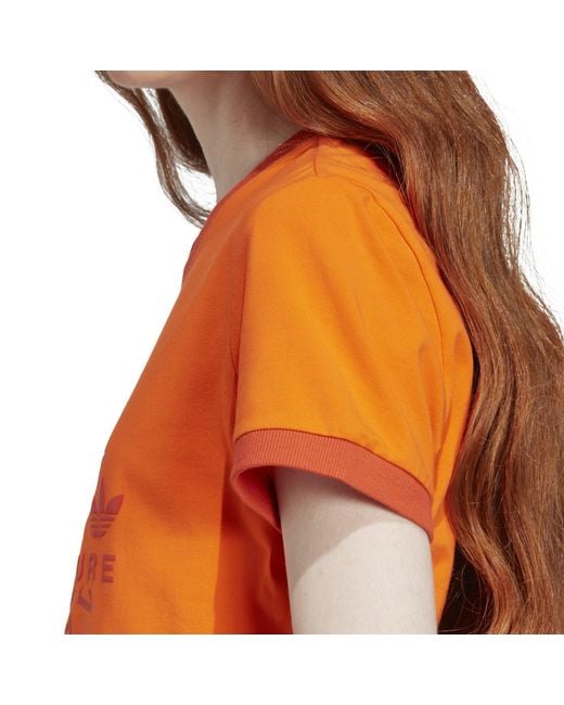 Adidas Originals Orange Regular Fit T-Shirt