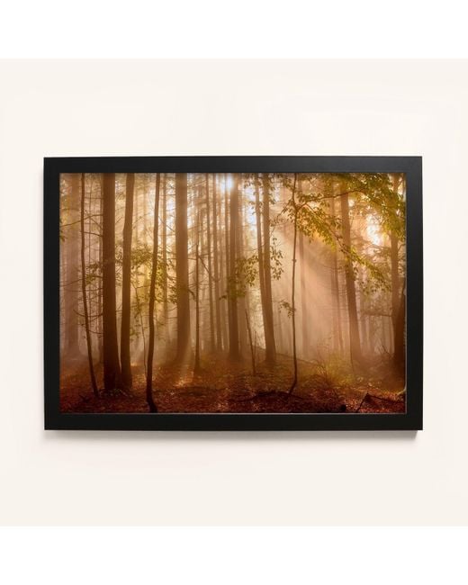 Laura Ashley Metallic Sunlit Trees Print