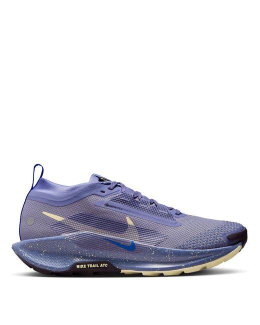 Nike Blue Pegasus Trail 5 Gore-Tex Running Shoes