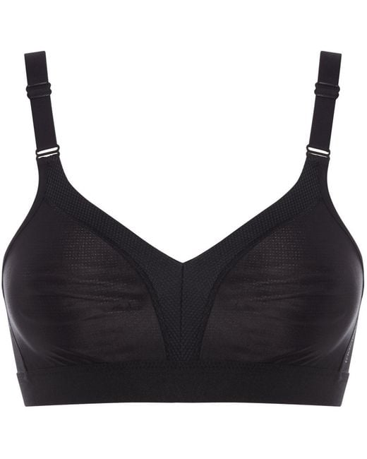 Triumph Black Studio Wellness