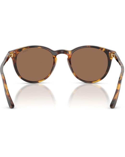 Polo Ralph Lauren Brown Shiny Semi Trasp 0Ph4110 Phantom Sunglasses for men