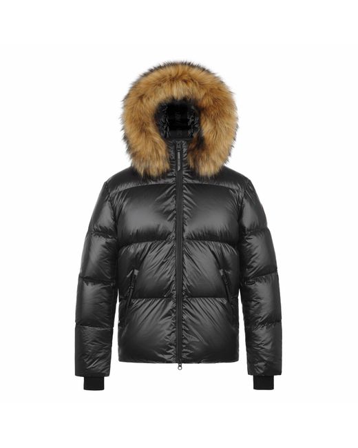 ARCTIC ARMY Black Puffer Og Hooded Long Sleeve Short Puffer Jacket for men