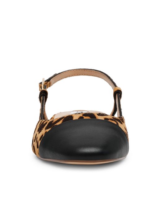 Steve Madden Brown Belinda Flat Shoes