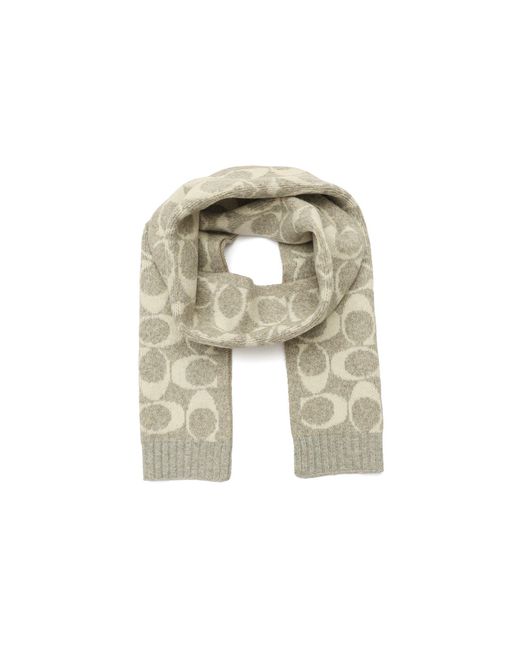 COACH White Jumbo Signature C Scarf