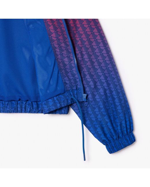 Lacoste Purple Blouson