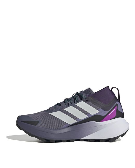 Adidas Blue Terrex Agravic Gtx Trail Running Shoes