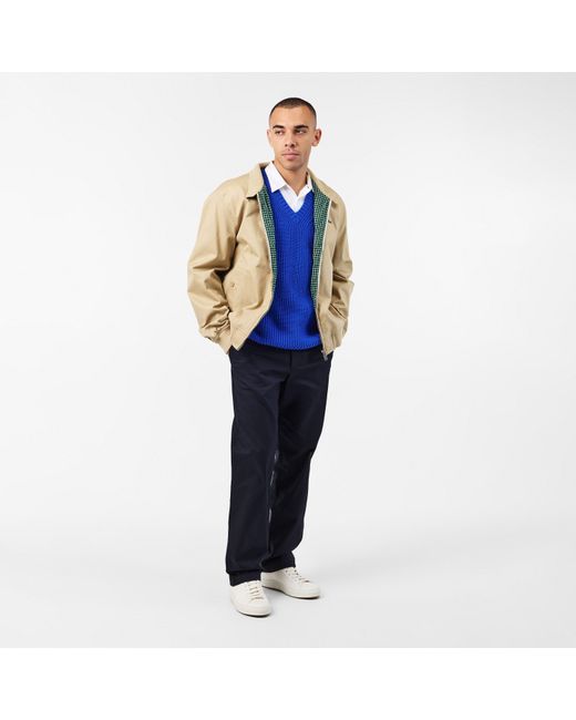 Lacoste Blue Chinos for men