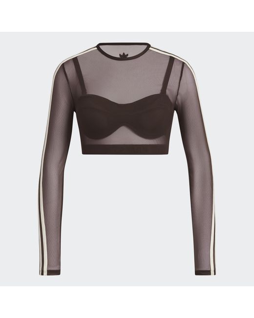 Adidas Originals Brown Long-Sleeve Crop Top