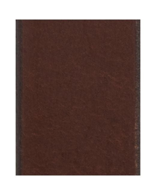 Barbour Brown Allanton Belt