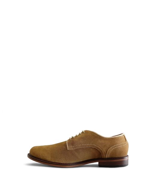 Firetrap Brown Arthur Derby Shoes for men