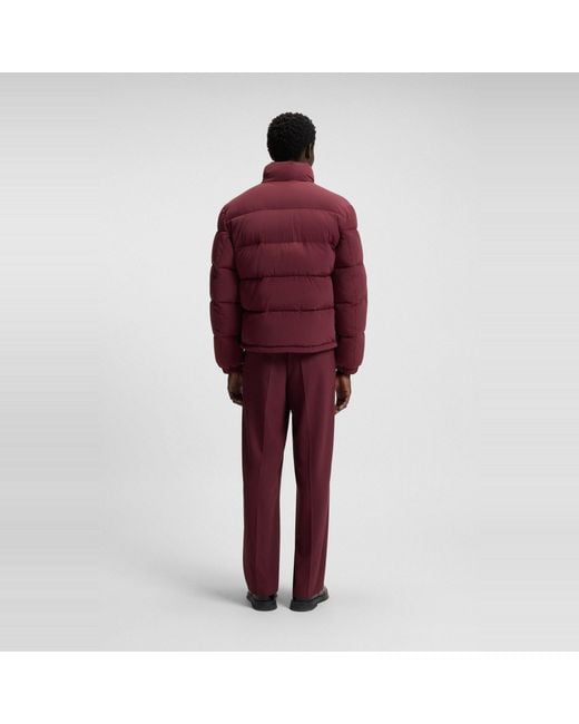 HUGO Purple Short Puffer Jacket for men