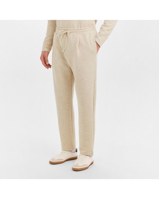 PREVU Natural Altius Trousers for men