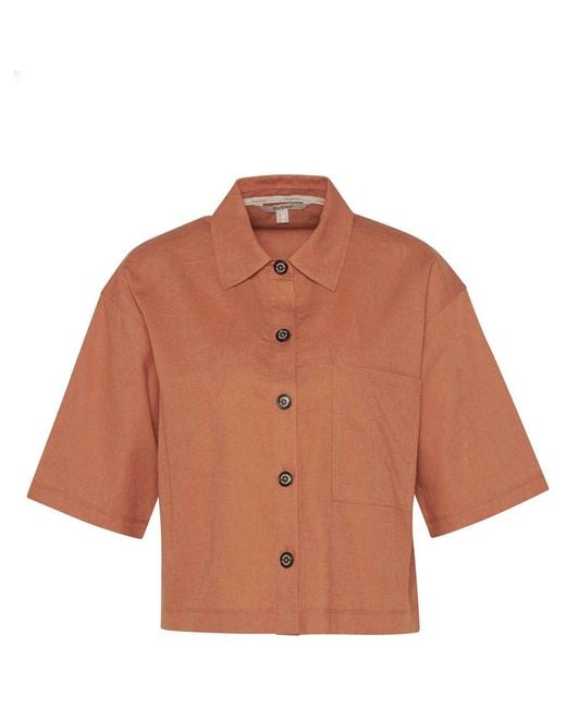 Barbour Brown Cary Shirt