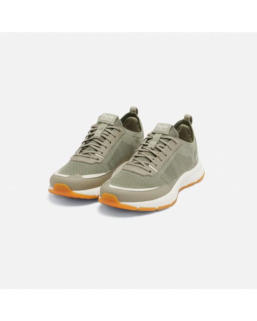 Hylo Athletics Green Adults