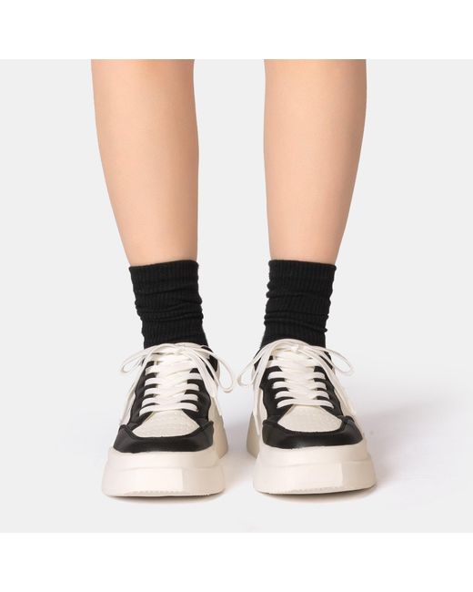 Kappa Black Ari Trainers