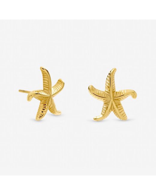 Jon Richard Metallic Plated Waterproof Coastal Starfish Earrings