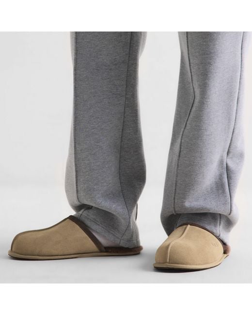 Ugg Brown Scuff Mule Slippers for men
