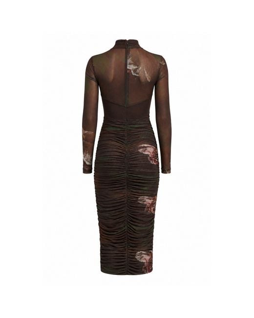 Bardot Brown Bd Aliyah Dress Ld64