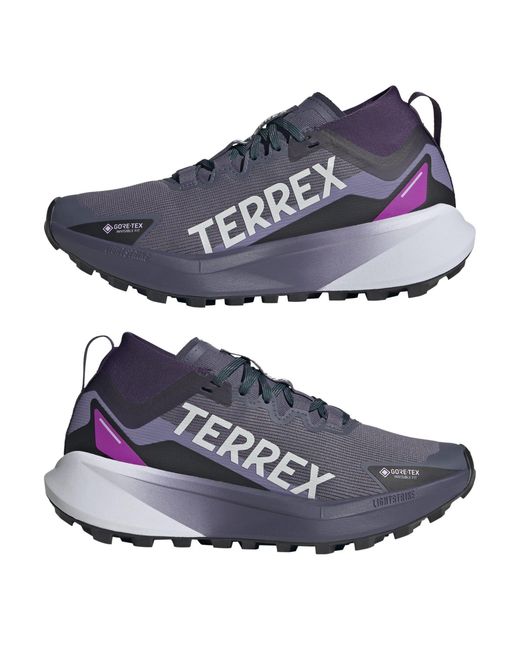 Adidas Blue Terrex Agravic Gtx Trail Running Shoes