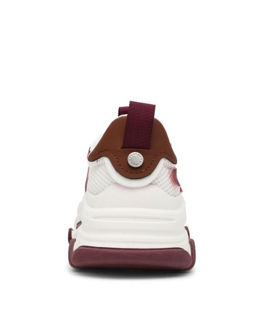 Steve Madden Brown Possession Chunky Trainers