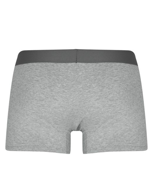 Firetrap Gray 2 Pack Trunks for men