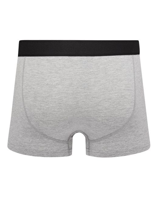 DKNY Blue 5 Pack Trunks Walpi for men