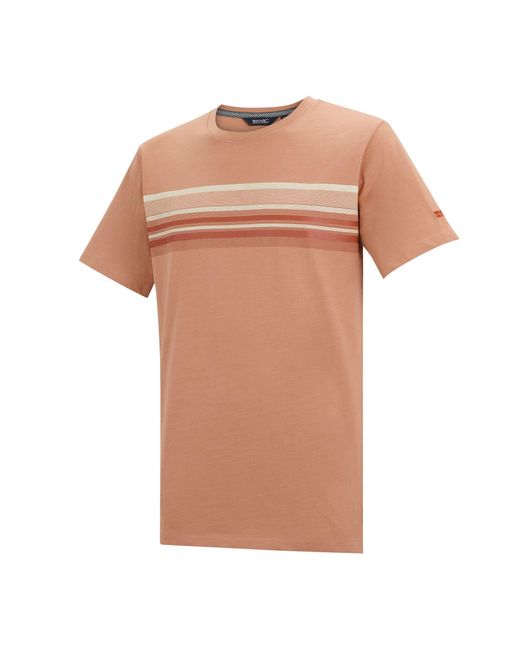Regatta Multicolor Rendro Soft T-Shirt for men